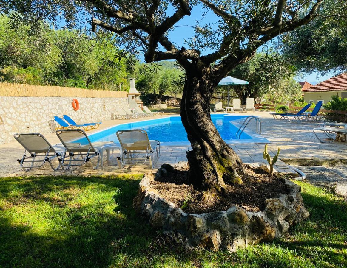 Olive Grove Poolside Apartments Benitses  Extérieur photo
